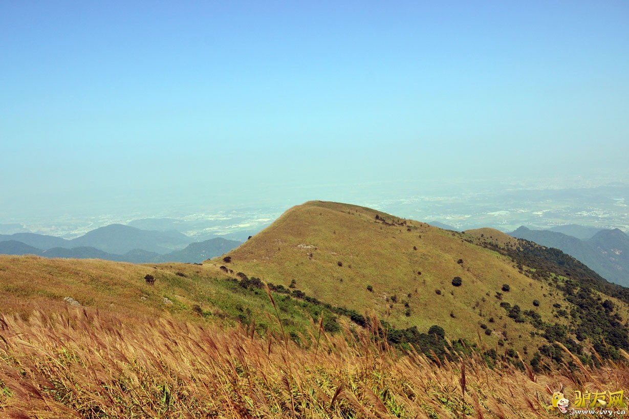 ��ݸ������ (7).jpg