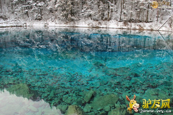 d7cbc35cbf56de6587548c747288fae24e65e9051f26b-Hs6TIe_fw658 - ����.jpg